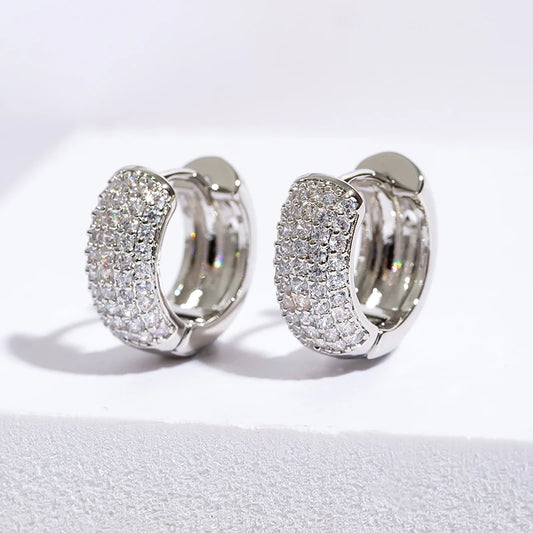 Boucles Doreilles Créoles Zirconia Acier Inoxydable Unisexe Cadeau Tendance