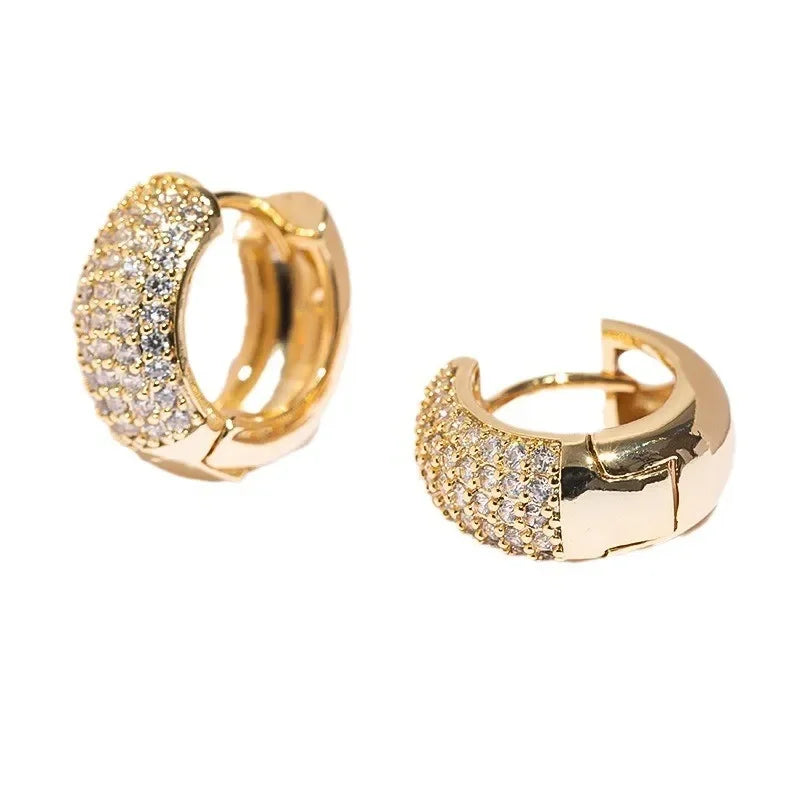 Boucles Doreilles Créoles Zirconia Acier Inoxydable Unisexe Cadeau Tendance